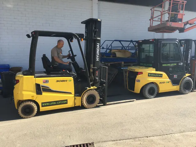 Bild 2 einer Mietmaschine vom Typ 3 ton Nafty | Hyundai 30-9 4700 mm